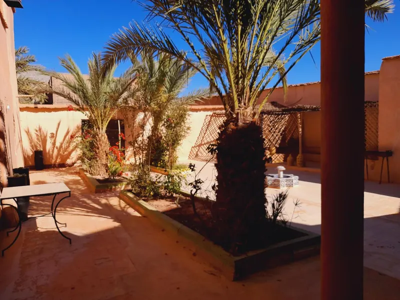 Two palm trees and a table in the sunny courtyard